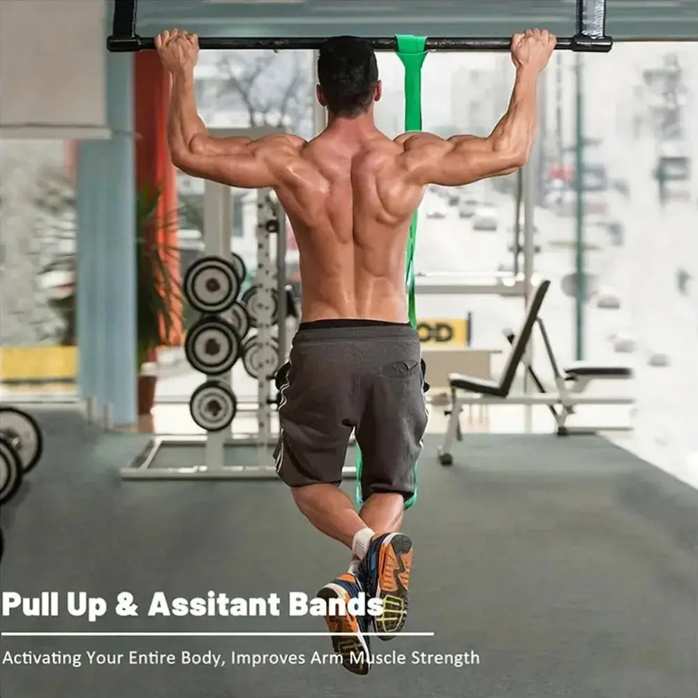 BloomForge Elite resistance Bands Bloom Forge